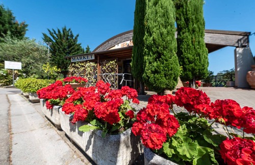 Rignano sull'Arno Other | Camping ∙ 10 guests