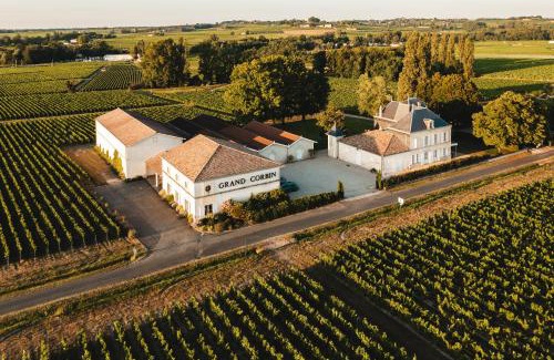 Saint-Emilion Bed & Breakfast | Château Grand Corbin - Bed & Breakfast
