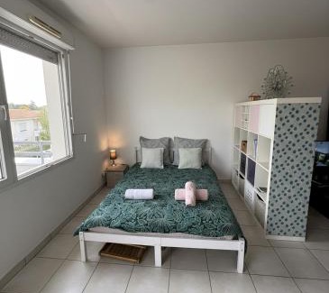 Libourne Apartment | Charming apartment overlooking vineyard in Libourne