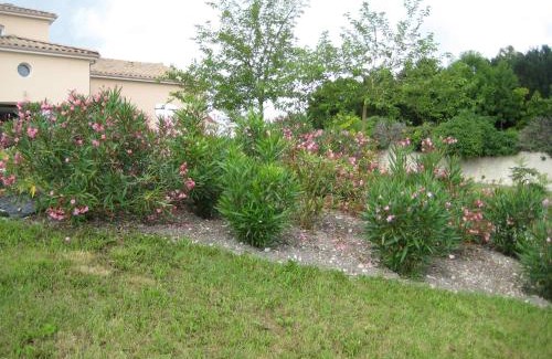 Segonzac House | Chic Apartment in Segonzac with Swimming Pool