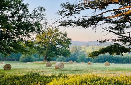 Malleret-Boussac House | Domaine Le Rianon
