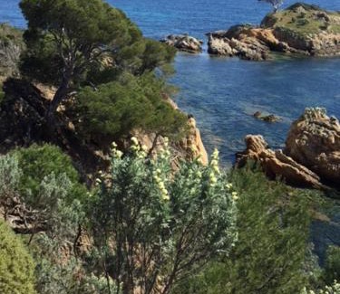 Le Lavandou Apartment | Ecrin de verdure sur Le Lavandou - Classement Tourisme 3 Etoiles