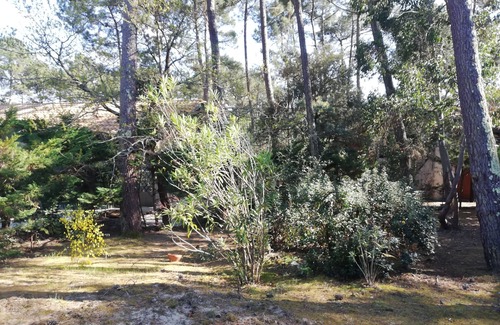 Lacanau-Ocean House | House with shared pool 30m far, 100 m from the Golf de l'Ardilouse