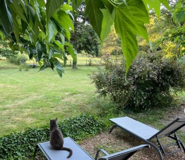Seignosse Bed & Breakfast | Laguillotte