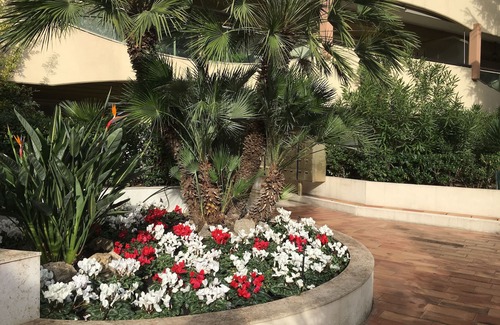 Cannes City Centre Apartment | "MADAME CHIC" . Distinguished and warm, the apartment is in its image .
