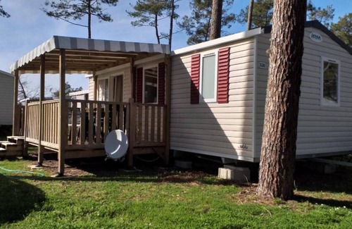 Saint-Julien-en-Born House | Mobile home 66469 TyBreizh Holidays at the Dunes of Contis 3* excluding fun pass