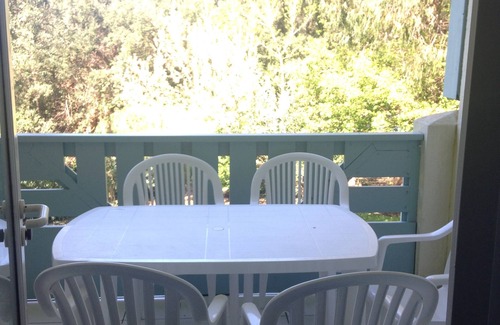 Moliets-et-Maa Apartment | Studio in residence in the heart of the Landes forest, sleeps 5, well equipped