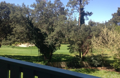 Moliets-et-Maa Apartment | Studio in residence in the heart of the Landes forest, sleeps 5, well equipped