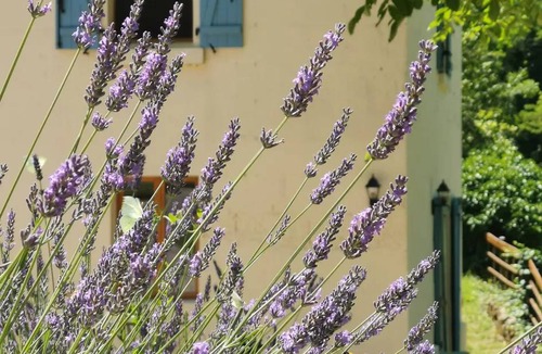 Saint-Aulaye-Puymangou House | 100 m² House ∙ 3 bedrooms ∙ 5 guests