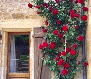 Saint-Cybranet House | 1000 m² House ∙ 5 bedrooms ∙ 10 guests