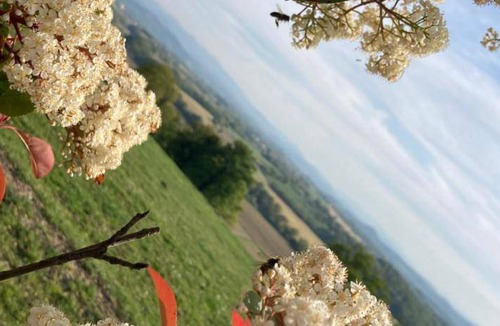 Ilharre Bed & Breakfast | 15 m² Bed and breakfast ∙ 1 bedroom ∙ 2 guests