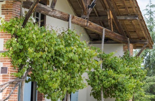 Canenx-et-Reaut House | 150 m² Gîte ∙ 3 bedrooms ∙ 6 guests