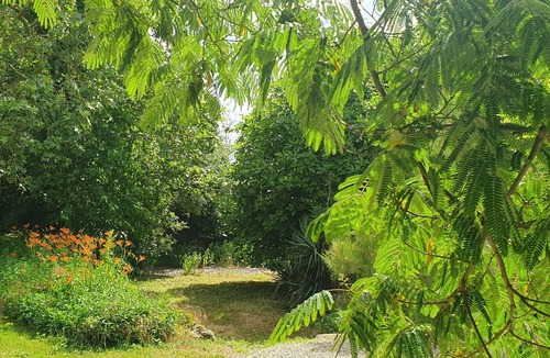 Savigne House | 17th century gite with exclusive use of a large private pool and garden