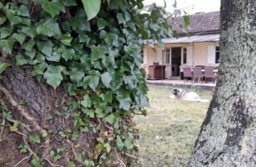 Saint-Cyprien House | 2 Bedrooms Private Vacation Home In Saint-Cyprien