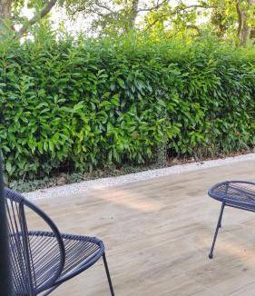 Sainte-Soulle Bed & Breakfast | 20 m² Bed and breakfast ∙ 2 guests