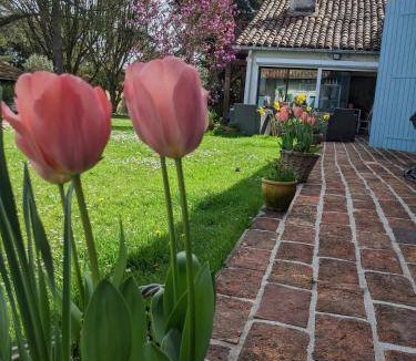 Sarron Bed & Breakfast | 25 m² Bed and breakfast ∙ 3 guests