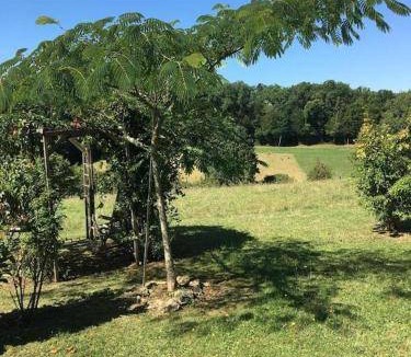 Veyrines-de-Vergt Bed & Breakfast | 25 m² Bed and breakfast ∙ 5 guests