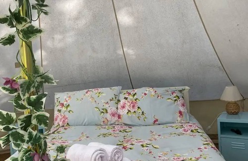 Blond House | 25 m² House ∙ 4 guests