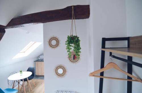 Chatellerault Apartment | 25 m² Serviced apartment ∙ 2 guests