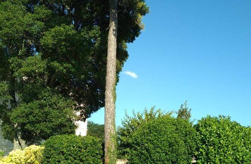 Lorignac Bed & Breakfast | 30 m² Bed and breakfast ∙ 3 guests