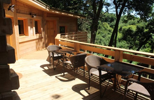 Salles-en-Toulon House | 40 m² Mobile home ∙ 2 bedrooms ∙ 6 guests