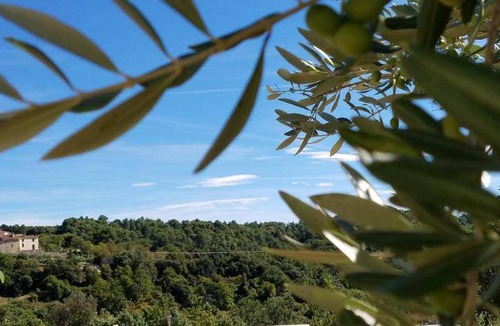 Baudinard-sur-Verdon House | 48 m² House ∙ 1 bedroom ∙ 3 guests