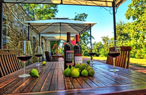 Bucine Villa | 660 m² Villa ∙ 9 bedrooms ∙ 17 guests