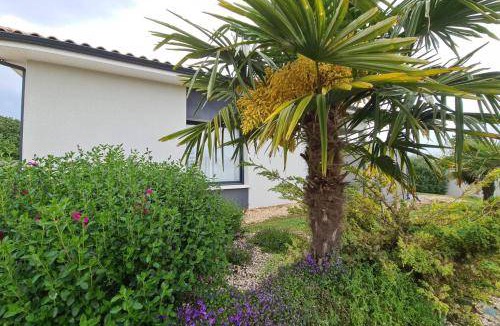 Chasseneuil-du-Poitou House | 85 m² House ∙ 2 bedrooms ∙ 4 guests