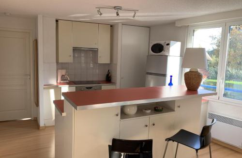 Le Moulleau Apartment | AGREABLE T3 AU CENTRE DU MOULLEAU AVEC WIFI - FR-1-374-161