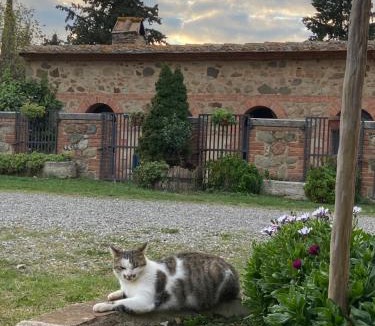Castiglione d'Orcia Apartment | Agriturismo Il Pozzo