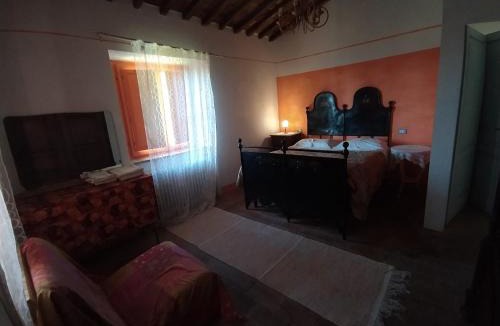 Villa Collemandina Apartment | Agriturismo Paneolio