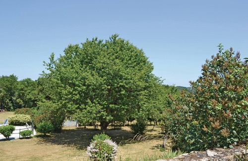 La Dornac House | Amazing home in Ladornac with kitchen