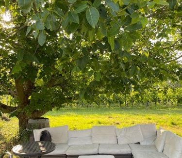 Sainte-Terre House | An authentic place of heaven near St Emilion