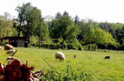 Saint-Antoine-d'Auberoche Apartment | apartment/flat - 1 room - 2/4 persons