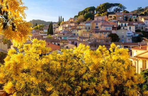 La Faviere Apartment | Apartment Côte d'Azur in Bormes-les-Mimosas - 4 persons, 1 bedrooms