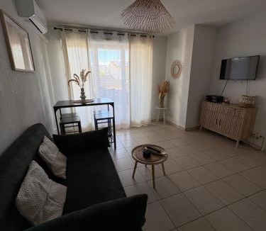 Port-Saint-Louis-du-Rhone Apartment | Appartement T2 climatisé
