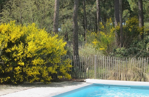 La Palmyre House | Architect designed villa, 7 bedrooms, 7 bathrooms, heated pool, services, 300m from the sea