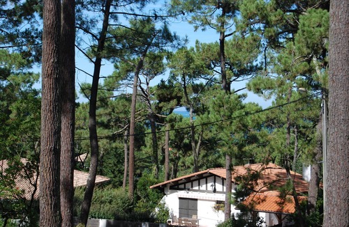 Pyla-sur-Mer Villa | At Le Pyla, in the heart of the Corniche district, family villa under the pines
