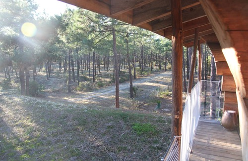Carcans Plage Ski Chalet | Authentic log in the heart of the pine forest for 10 people