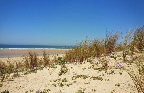 Mimizan Apartment | BEAUTIFUL APARTMENT 400 M FROM THE BEACHES OF MIMIZAN WITH INTERNET