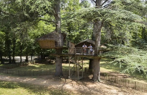 Salles-en-Toulon House | Beauty Park - Ouistitis family cabins 6 people
