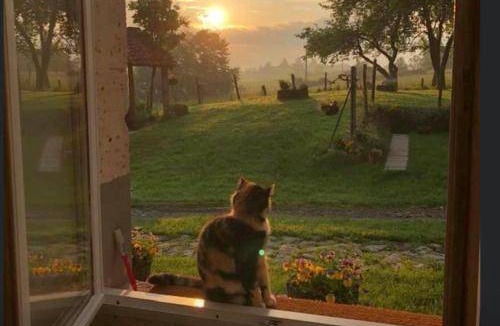 Le Lindois Bed & Breakfast | Bed and breakfast ∙ 2 guests