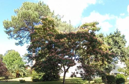 Biarritz Apartment | BIARRITZ - APPART - 4 PERS - 2 BEDROOMS - PARKING