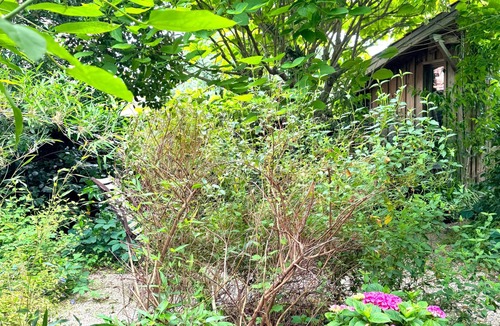 Taussat House | Bohemian interlude in the heart of Taussat, 150m from the Bassin