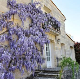 Laruscade Bed & Breakfast | Buisson gîte et chambre d'hôte