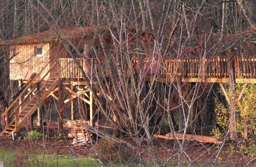 Allons Other | Cabane des cerfs