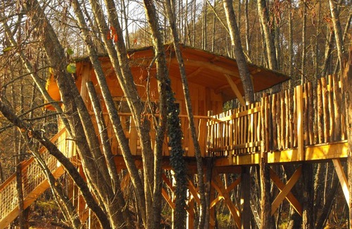 Allons Other | Cabane des cerfs