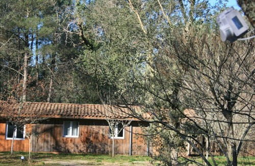 Labouheyre Cottage | Cabane en Pleine Nature - Domaine Temali