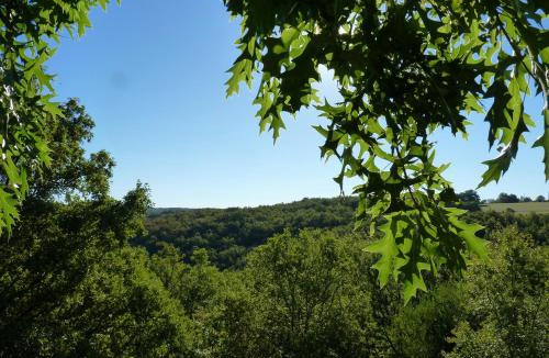 Salignac-Eyvignes Bed & Breakfast | Cabane-hobbit de Samsaget