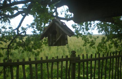 Solferino House | cabane perchée